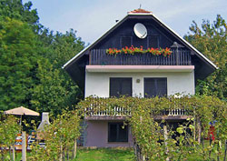 Slovenia for Families - Vane&#x10d;a Cottage